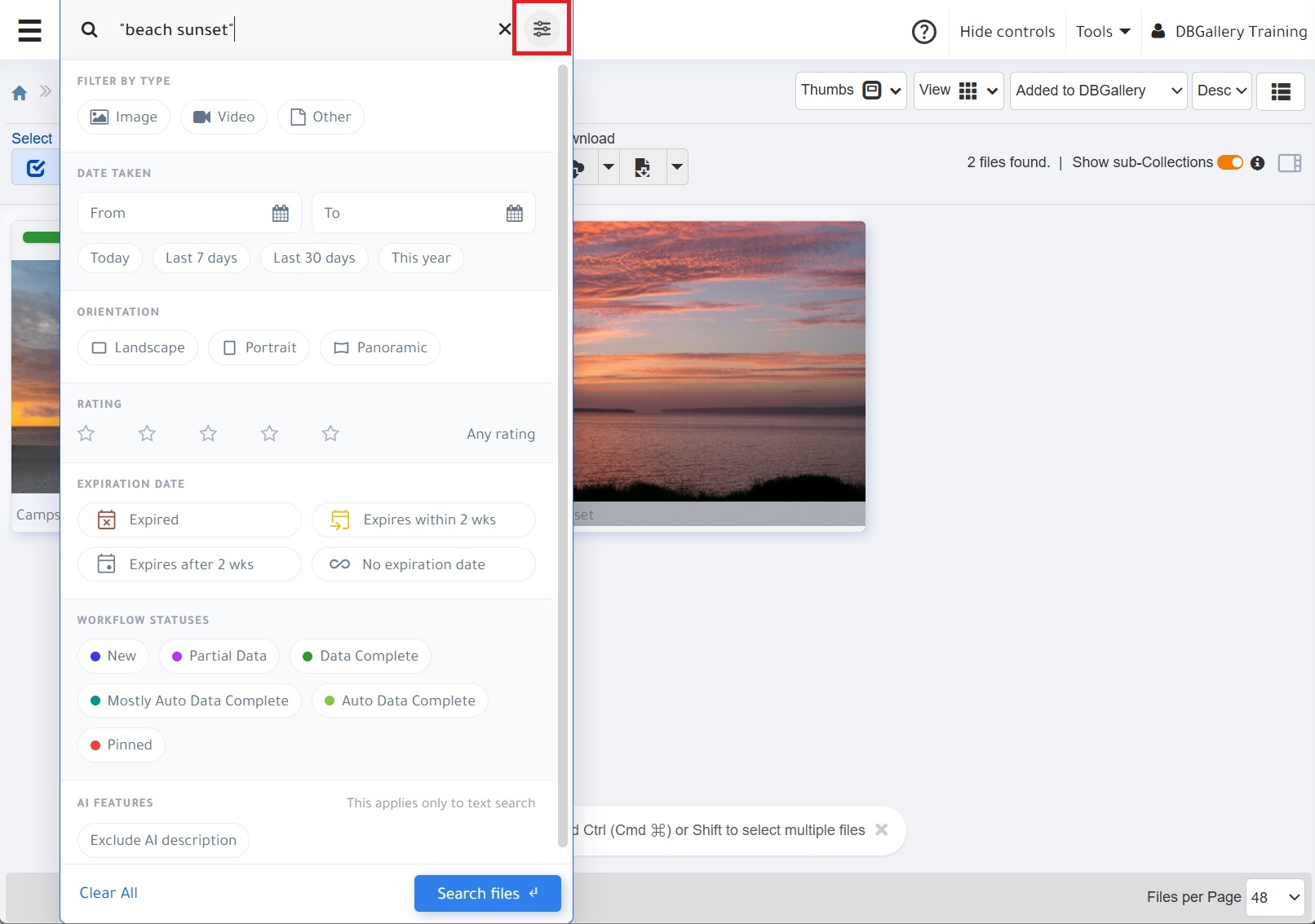 Search Advanced Options