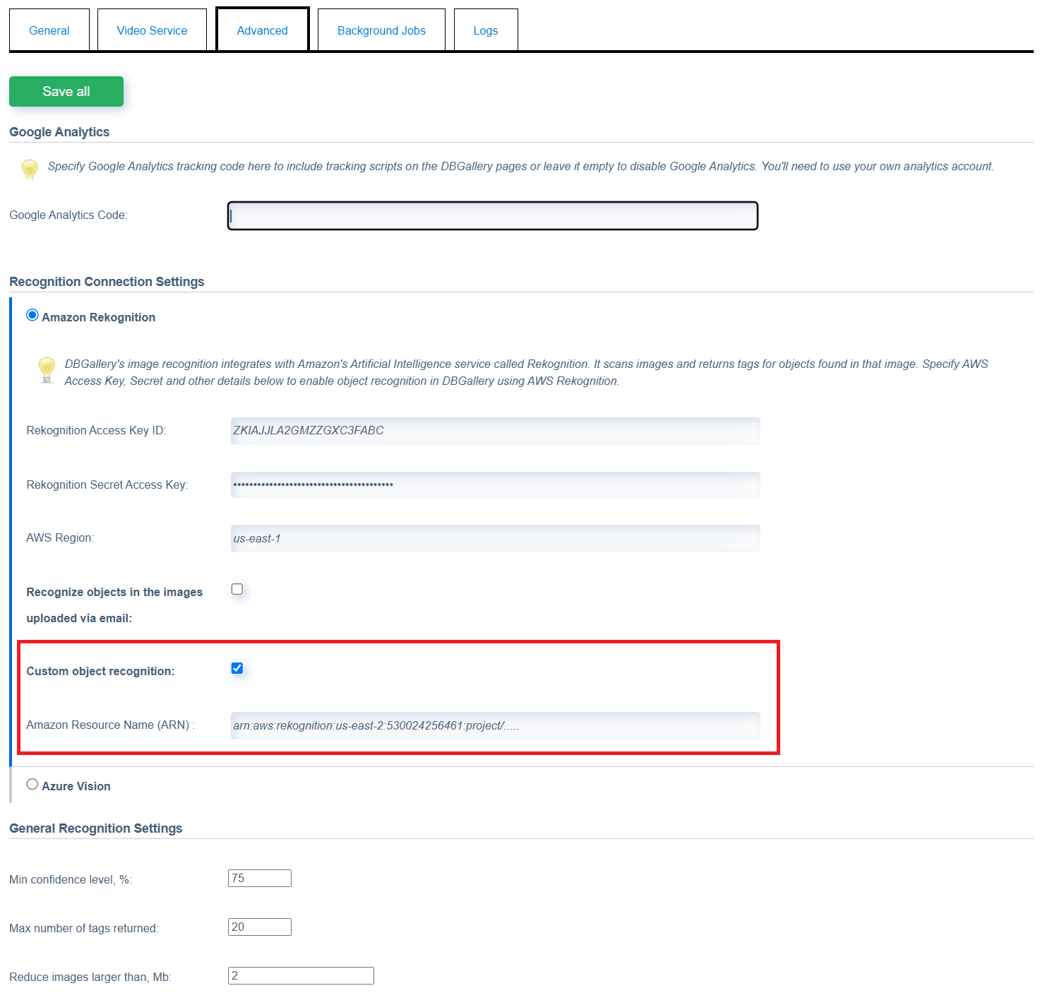 Custom AI model settings